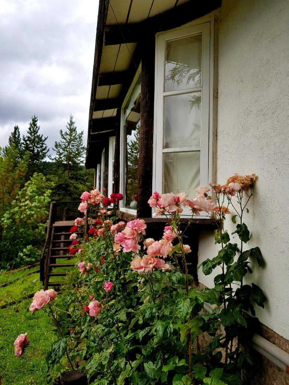 The Patagonian Lodge コイハイケ エクステリア 写真